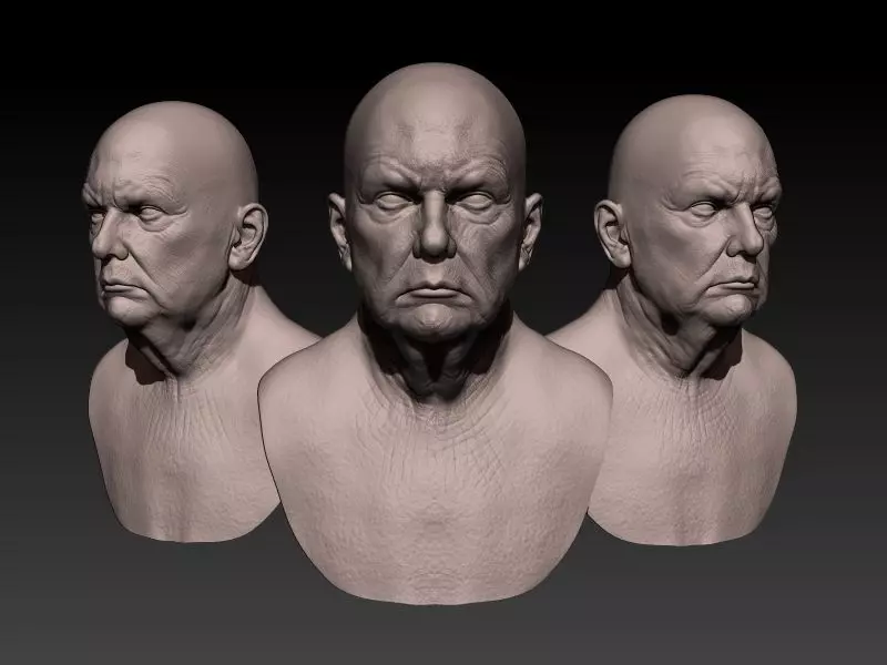 donald trump likeness sclupt 3d model 3D print model