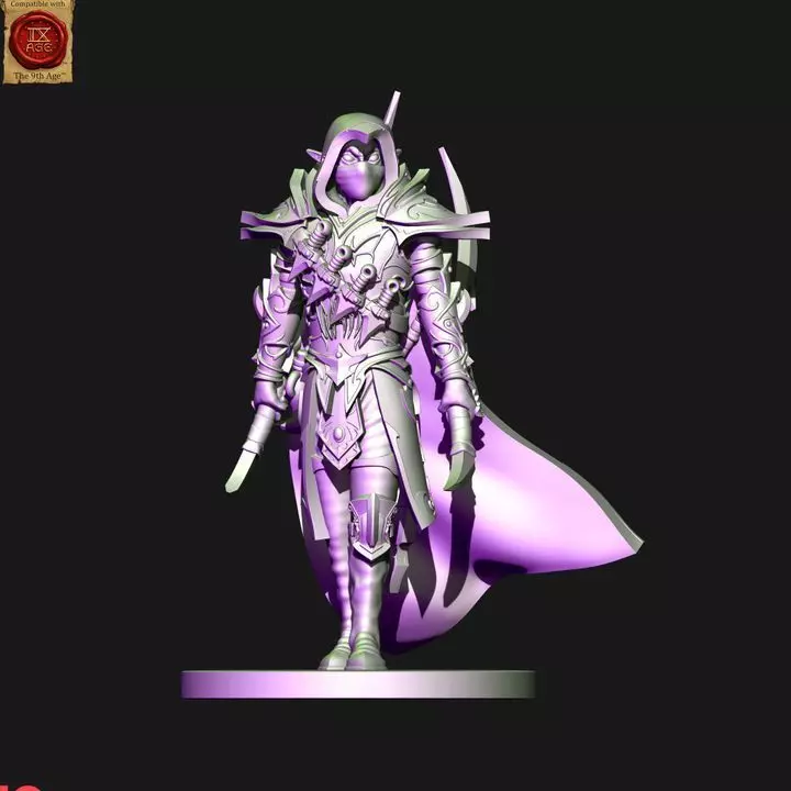 Dark elves Assassin 2 3D print model
