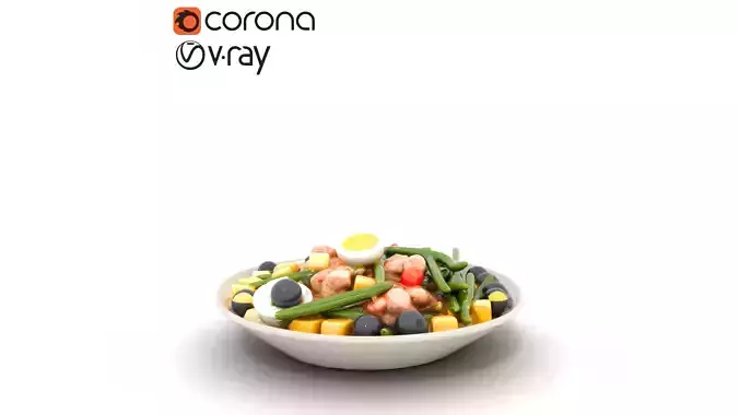 Vibrant Nicoise Salad Plate Low-poly 3D model 5