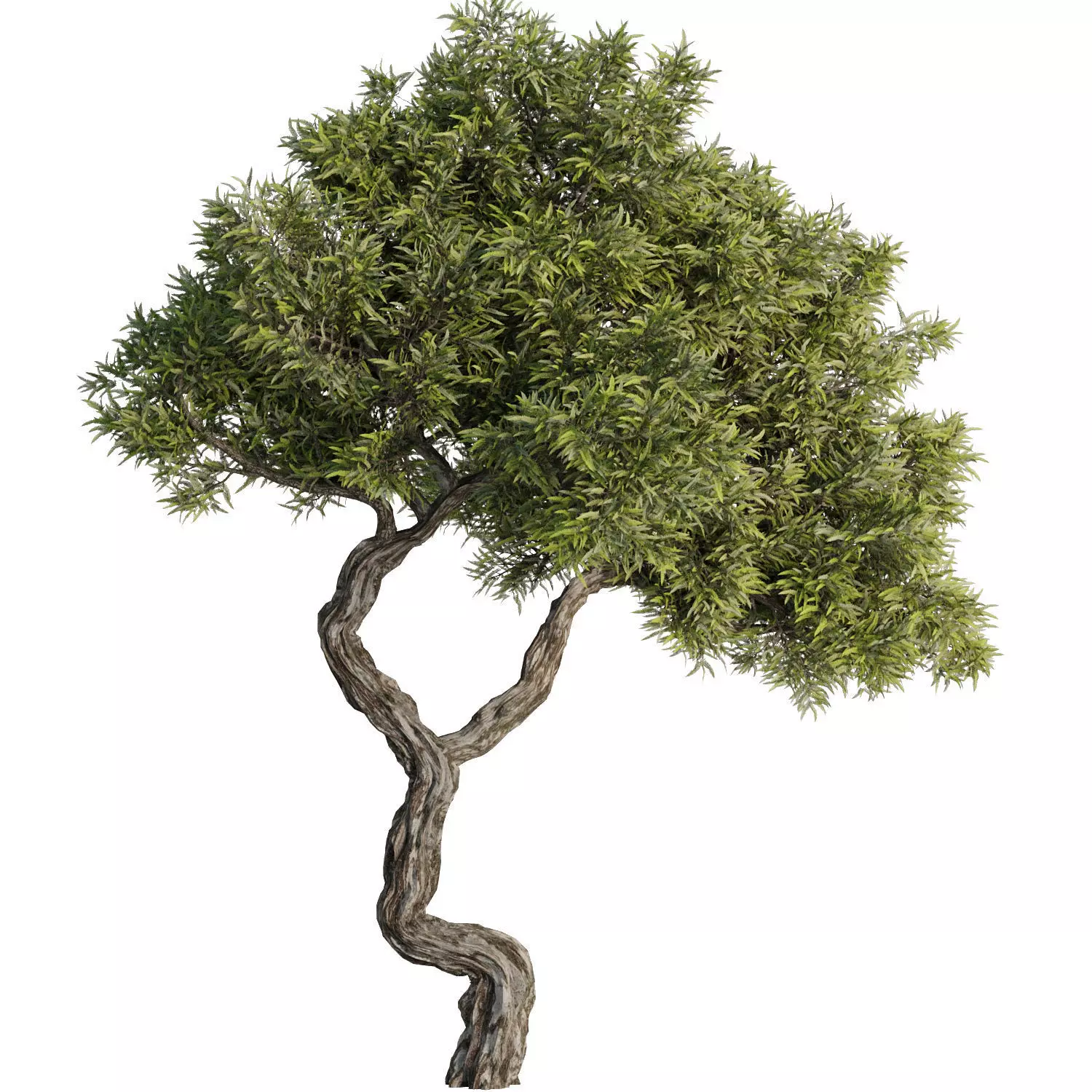 Tree Set40 3D model