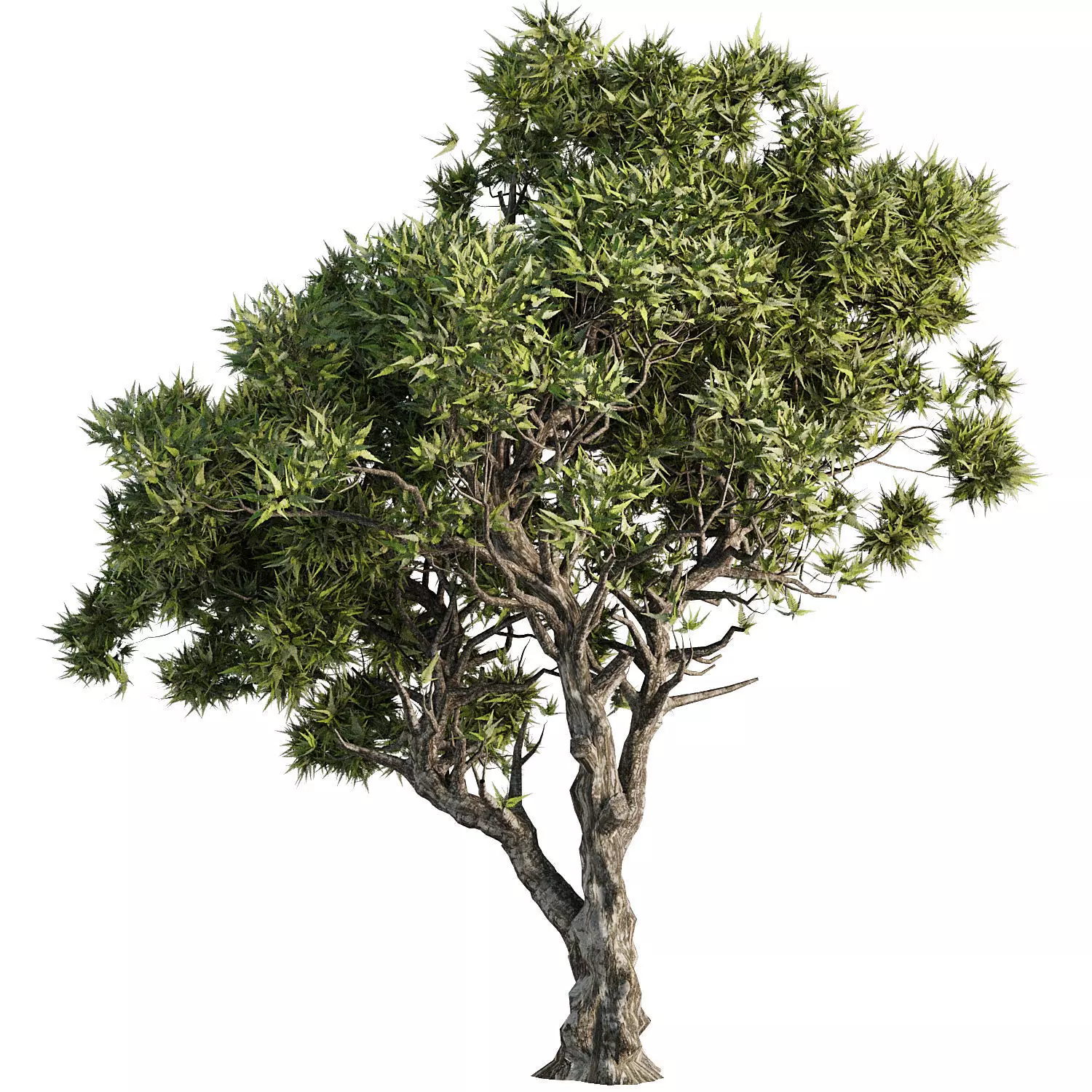 Tree Set46 3D model