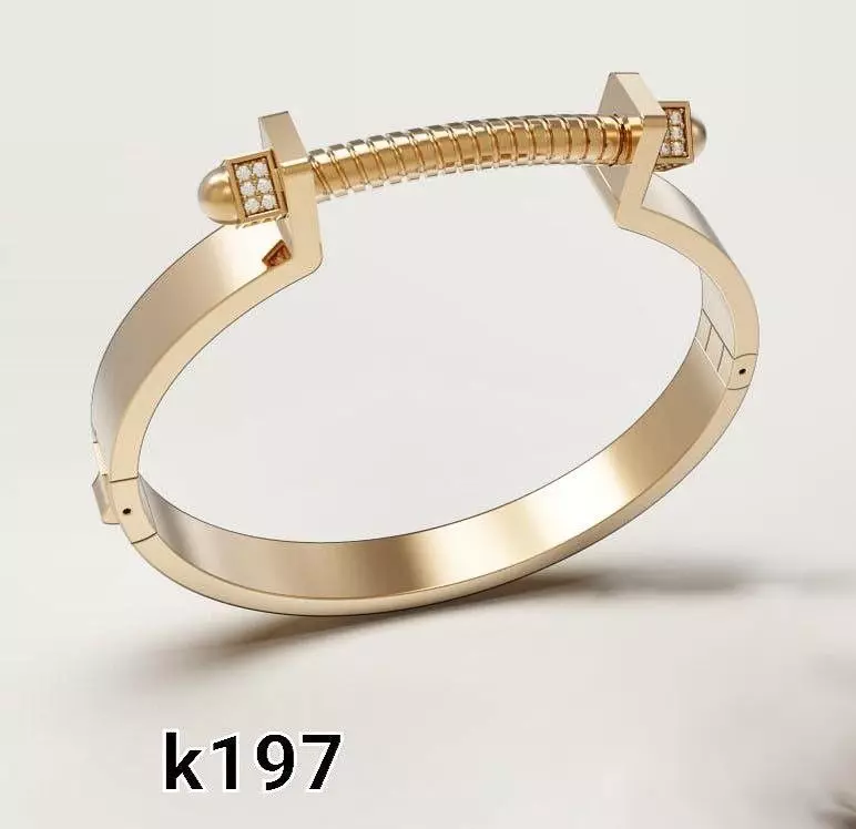 Modern Rigid Bangle with Central Spring Bar Detail 3D print model