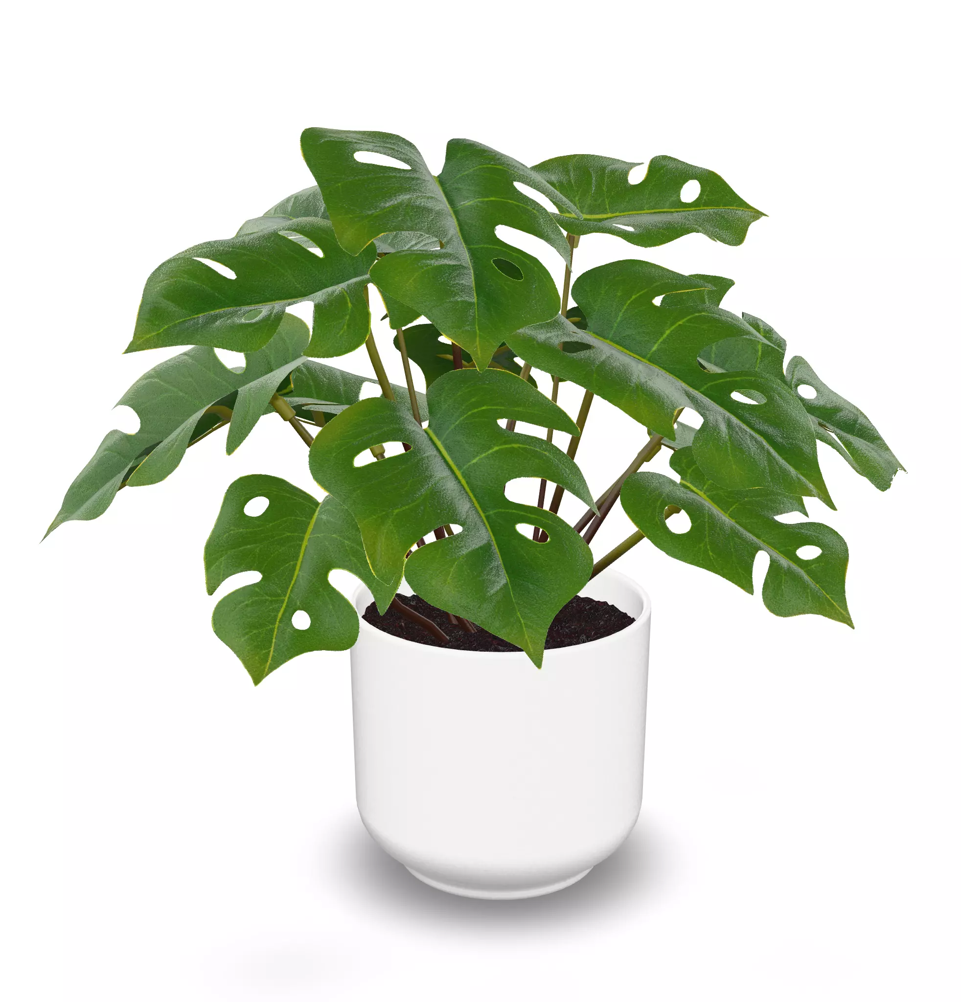 Artificial Plant Low-poly 3D model