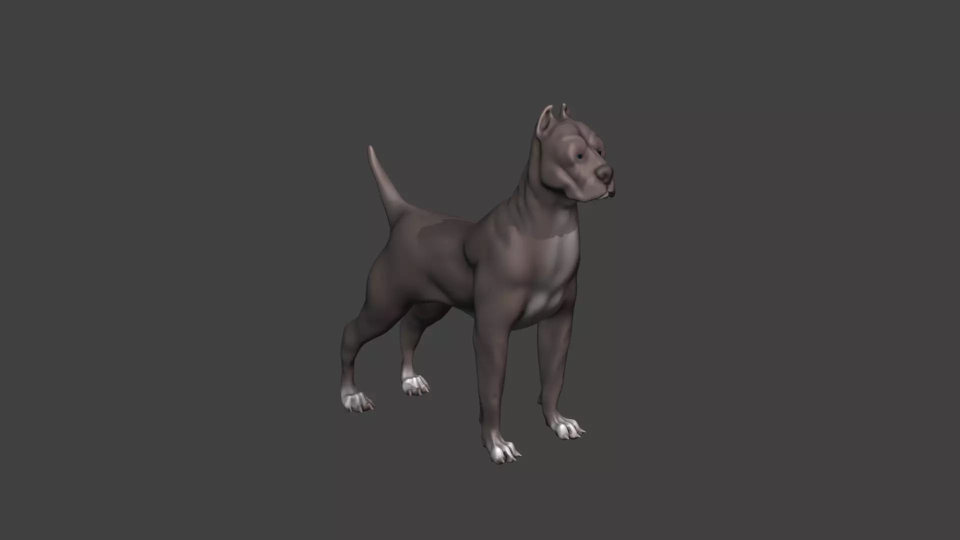 Realistic Dog 3D Model Pitbull Style High Quality Low-poly 3D model