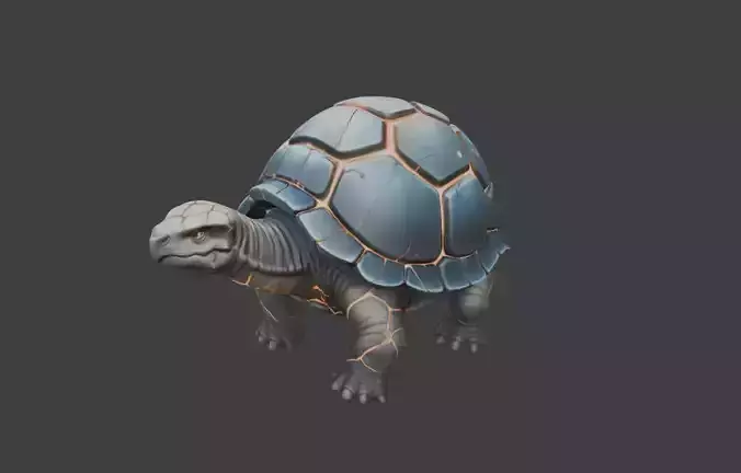 Plaza Tortoise