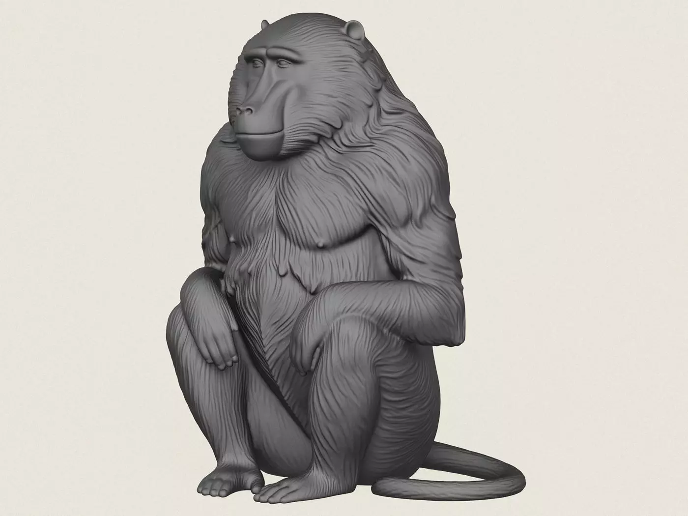 Baboon Monkey Sitting 3D print model