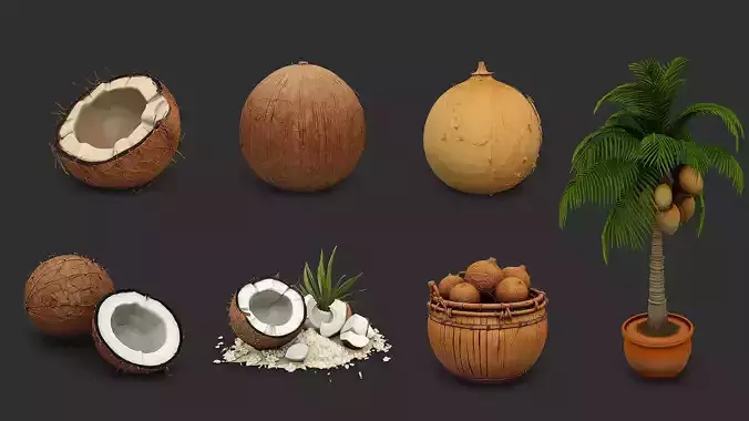 Coconut Complete Bundle - 7 Tropical Models 3D print model 2