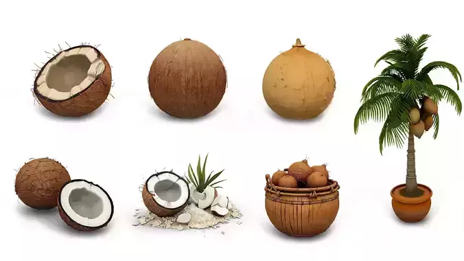 Coconut Complete Bundle - 7 Tropical Models 3D print model