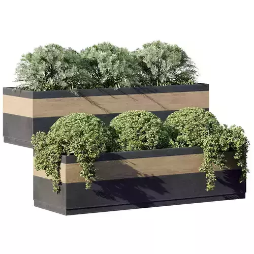 Outdoor Plant 18