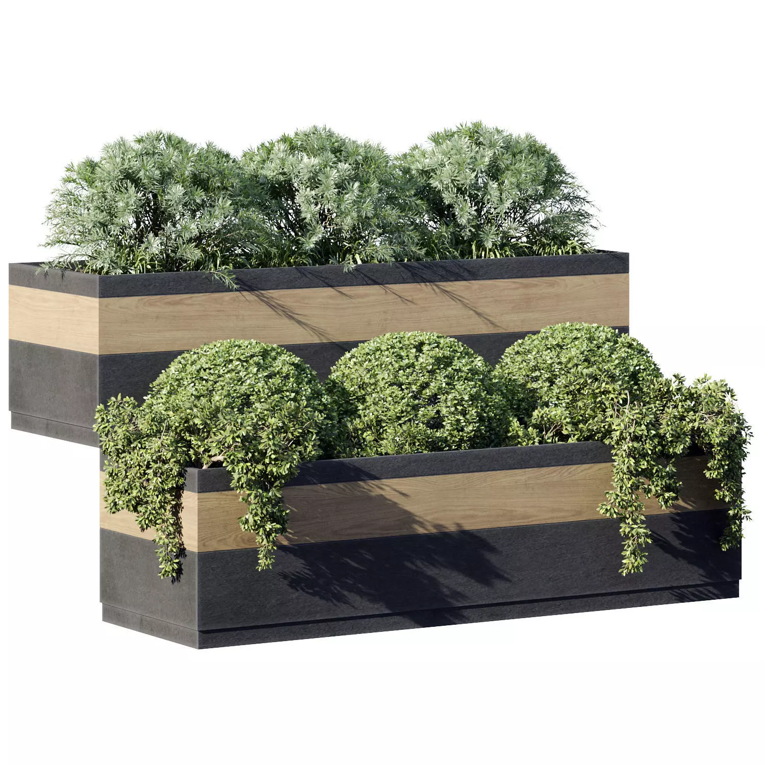Outdoor Plant 18 3D model