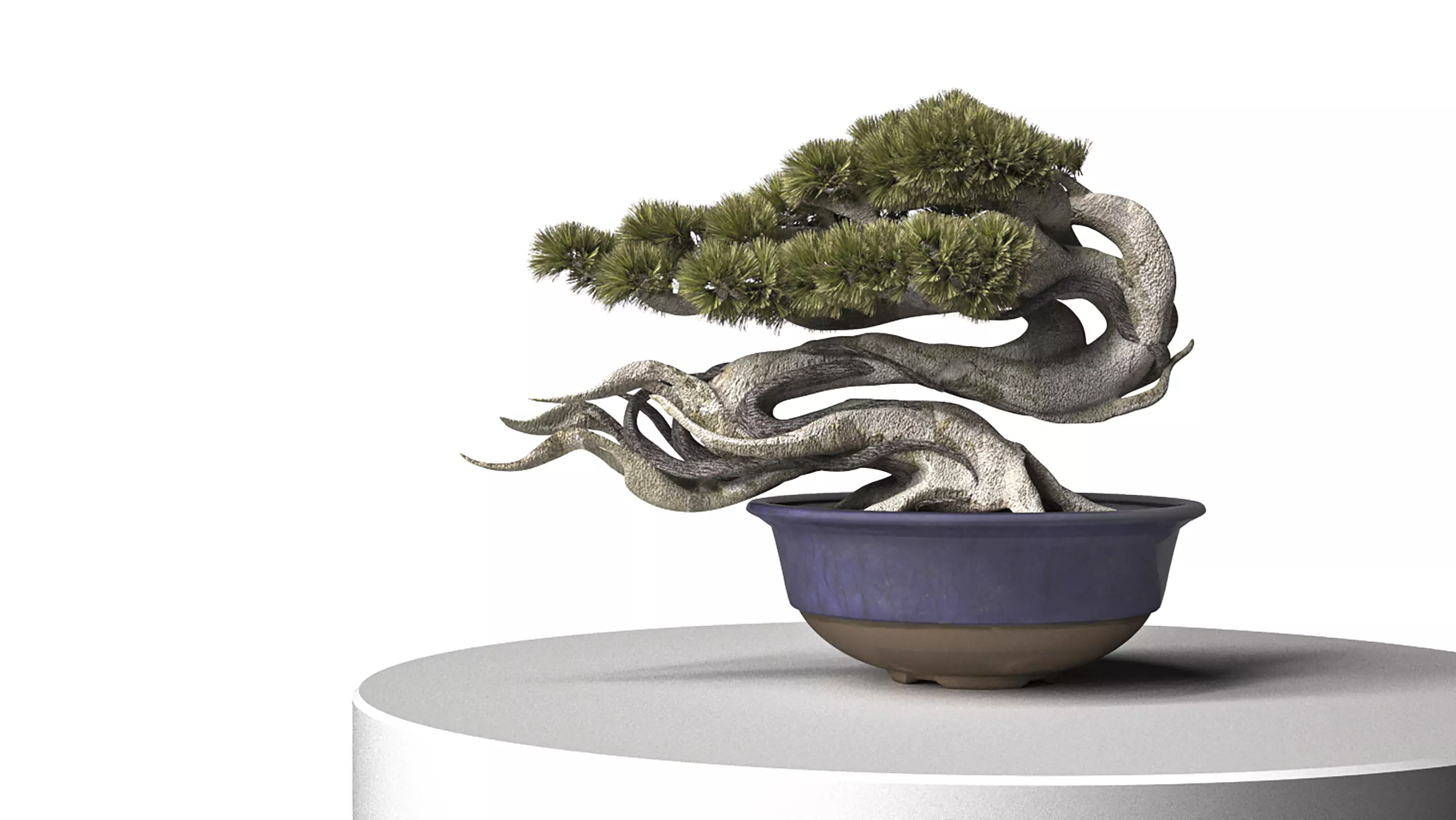 Fukinagashi-style bonsai 02 3D model | CGTrader