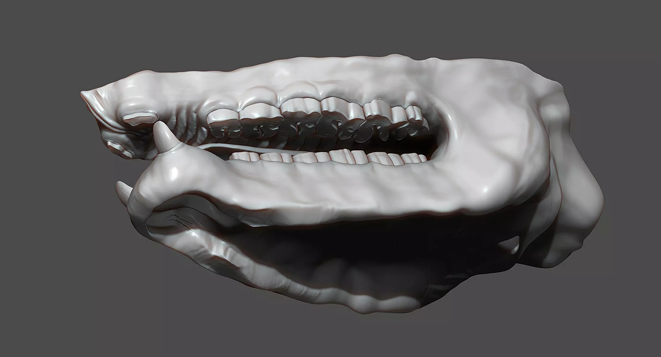 Rhino Mouth ZBrush Sculpt 3D model