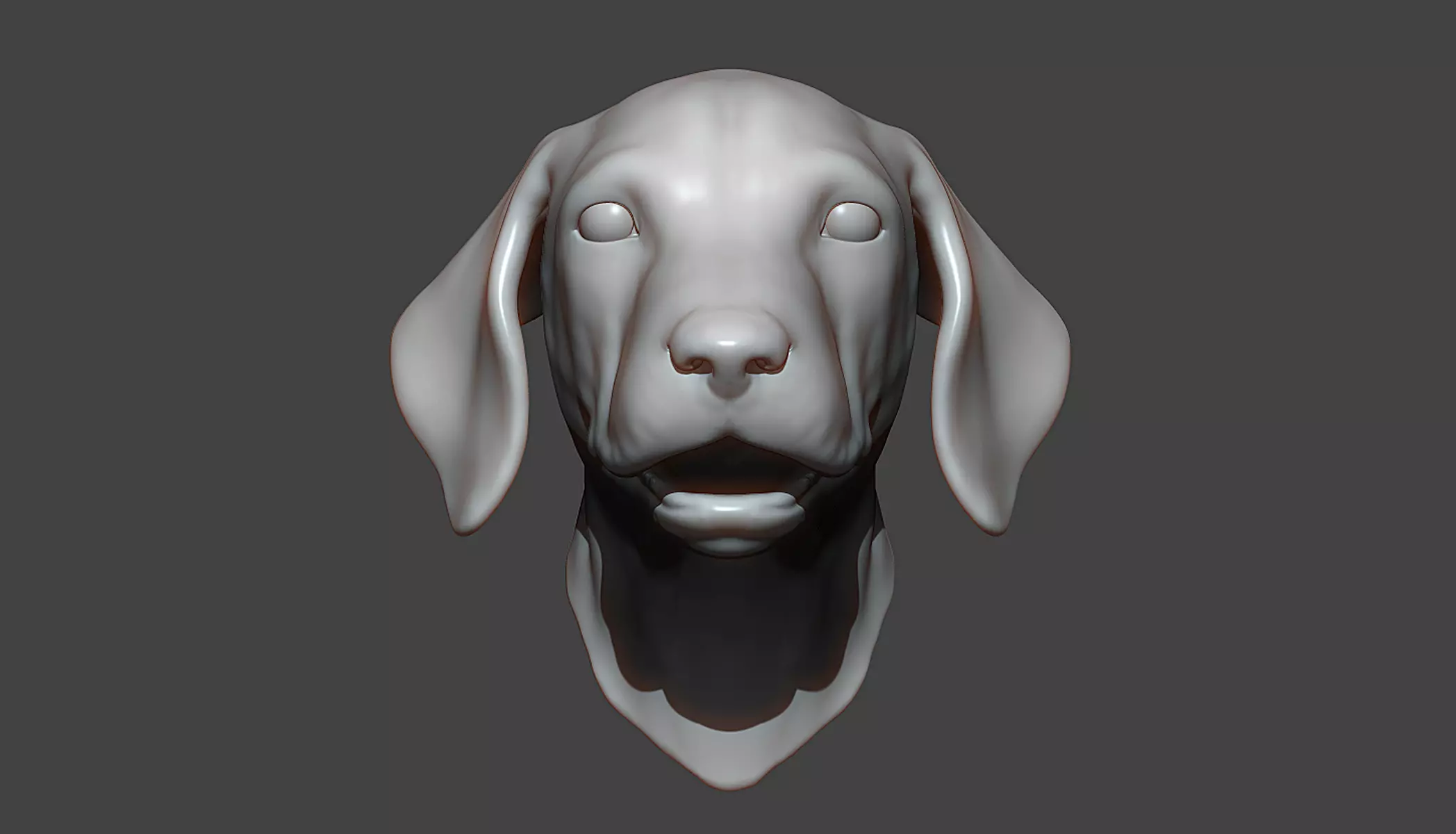 Dog Puppy Head Highpoly Sculpt 3D model