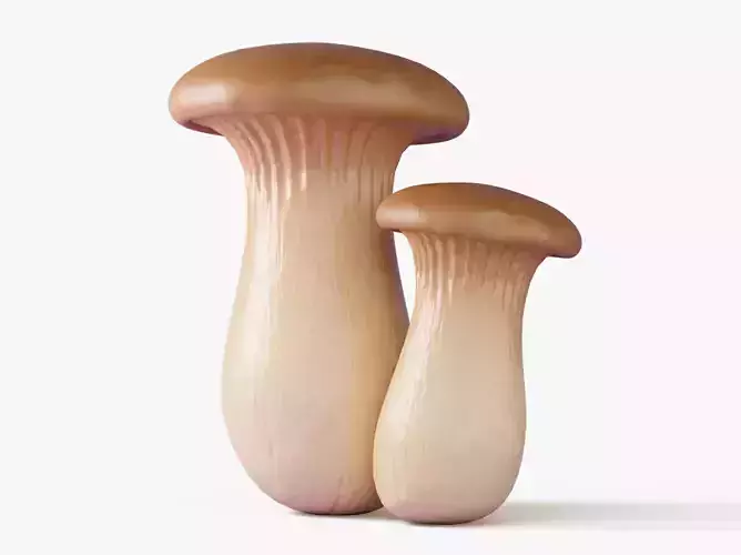 Eryngii Mushrooms
