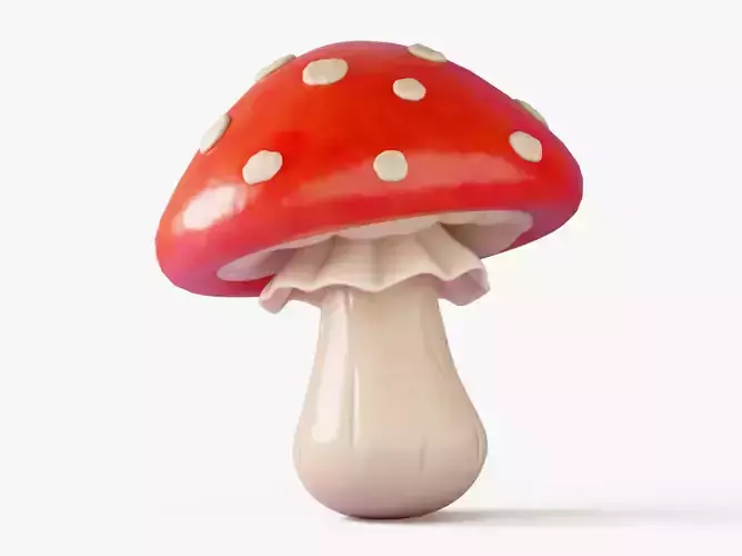 Fly Agaric Mushroom
