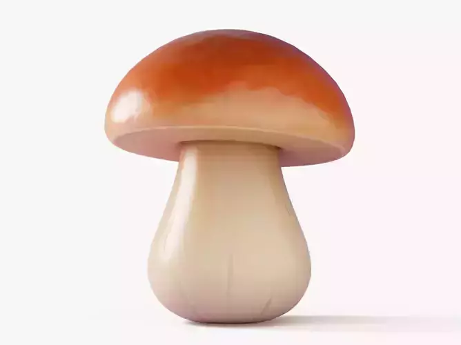 Cartoon Porcini Mushroom