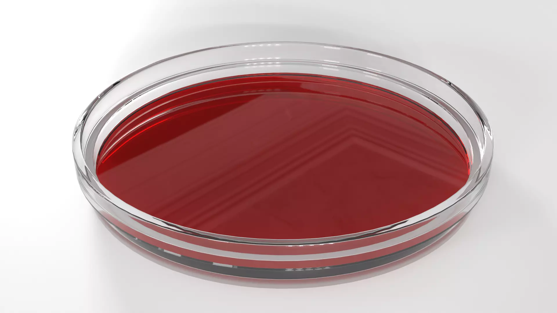 Petri Dish with Blood PBR 3 Low-poly 3D model