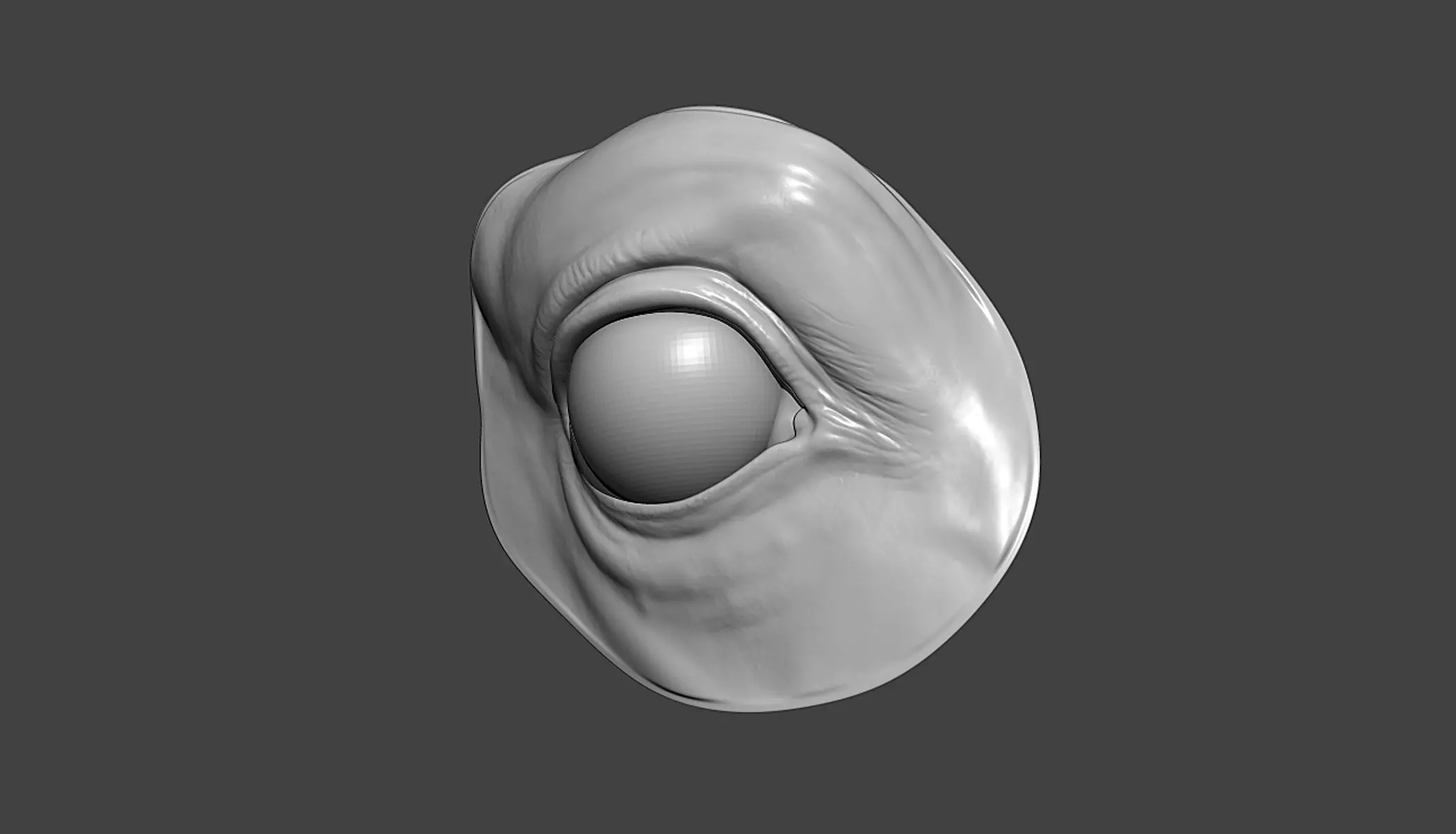Horse Eye Socket Highpoly Sculpt 3D model