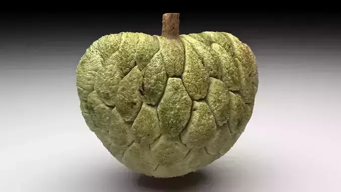 Sugarapple 3D model 3