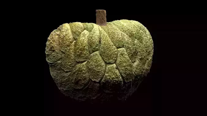 Sugarapple 3D model 7