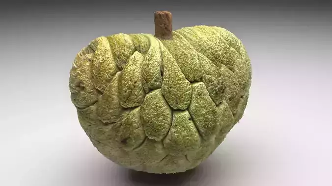 Sugarapple 3D model