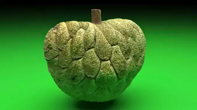 Sugarapple 3D model 6