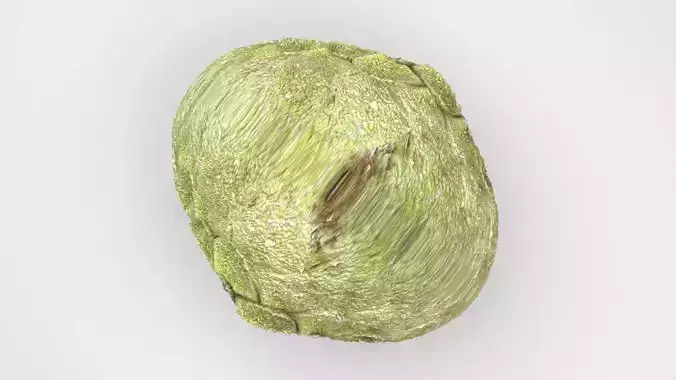 Sugarapple 3D model 4