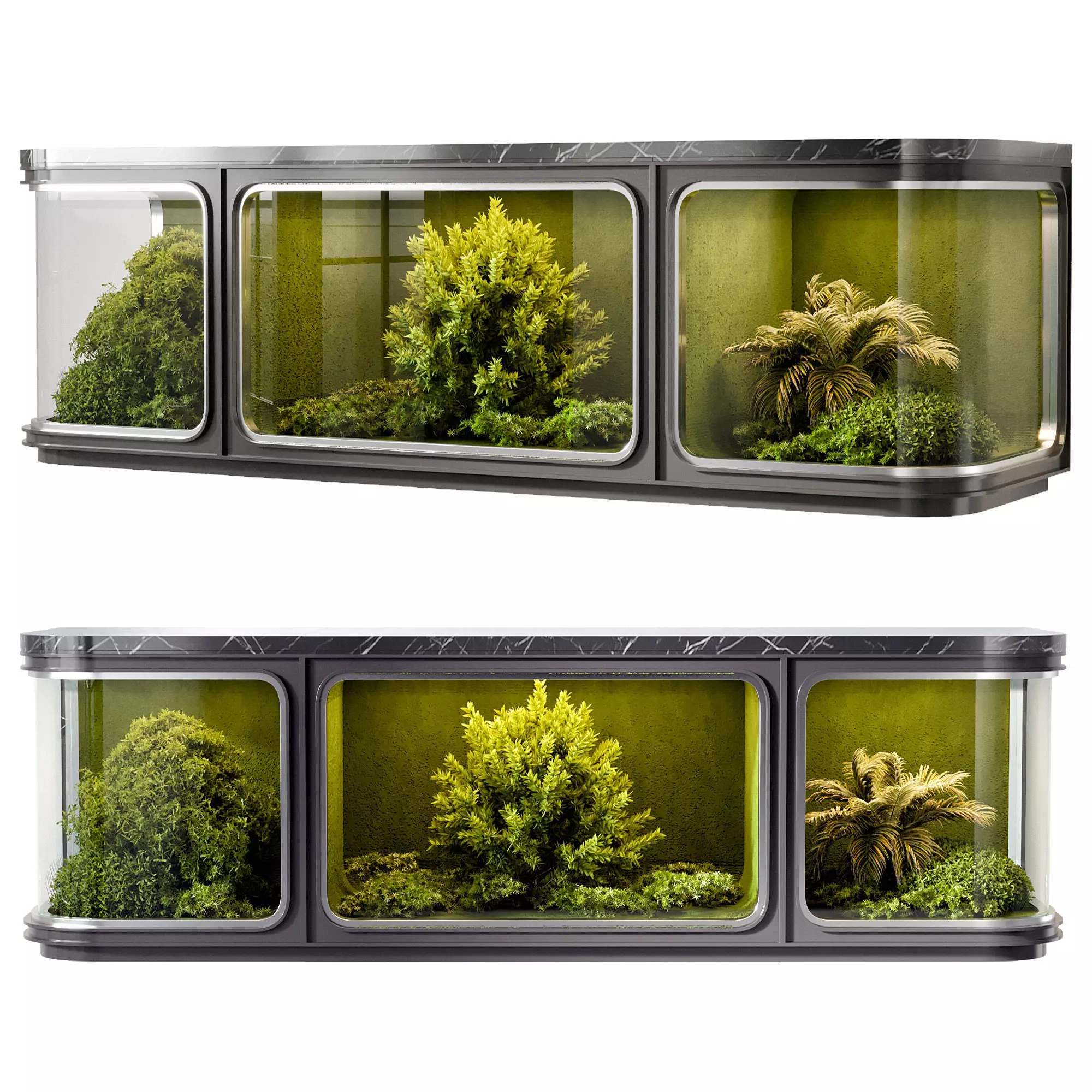 FLOWER SHOW CASE NO5 A 3D model