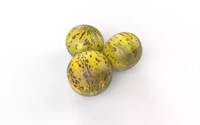 Melon Set 01-01 Low-poly 3D model 4