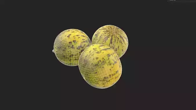 Melon Set 01-01 Low-poly 3D model 7