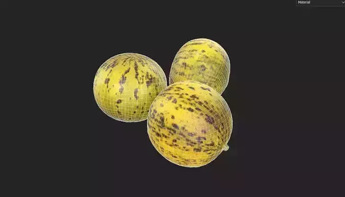 Melon Set 01-01 Low-poly 3D model 2