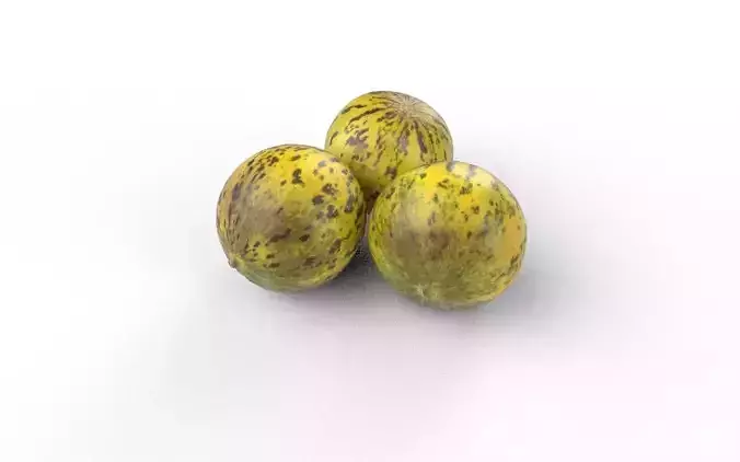 Melon Set 01-01 Low-poly 3D model 5