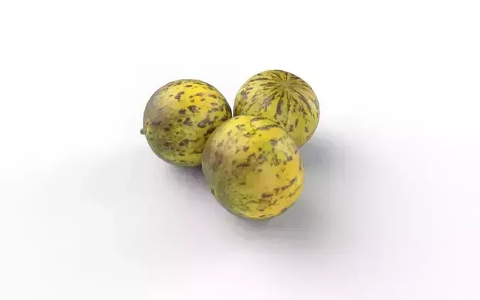 Melon Set 01-01 Low-poly 3D model 6