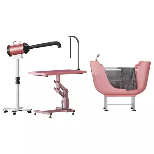Groomer SPA area with hair dryer Compact Pro Standard 3D model