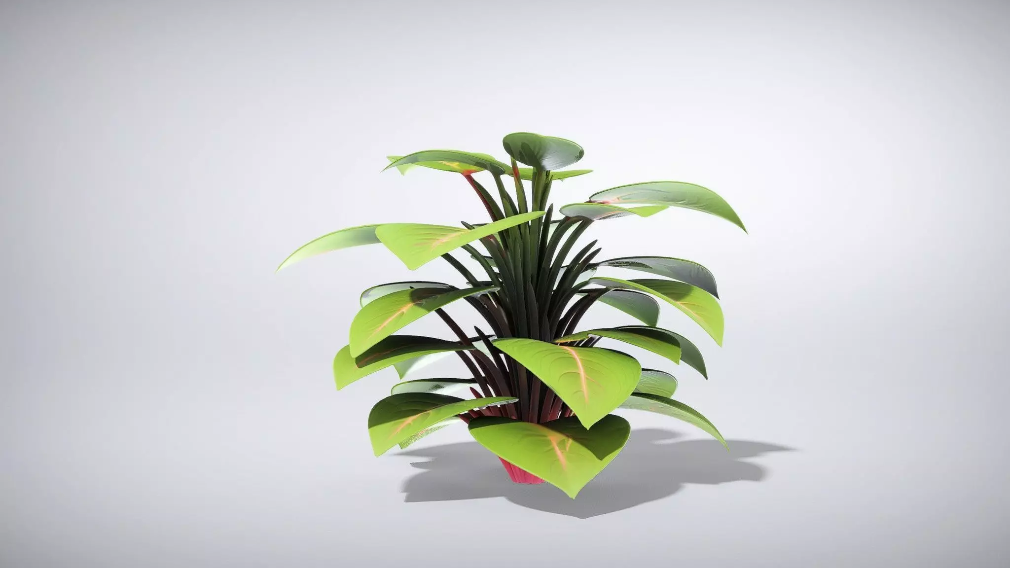 ローポリ 観葉植物 3D Models – Free & Premium Downloads | CGTrader