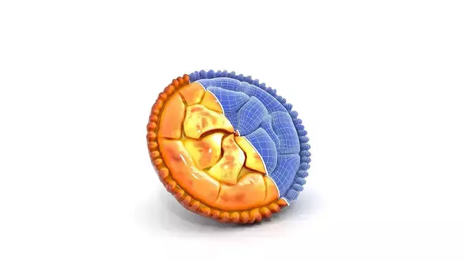 Cinnamon Apple Pie Low-poly 3D model 6