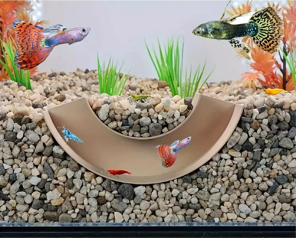 Tunel para peces 23 - acuario - fish tank 3D print model