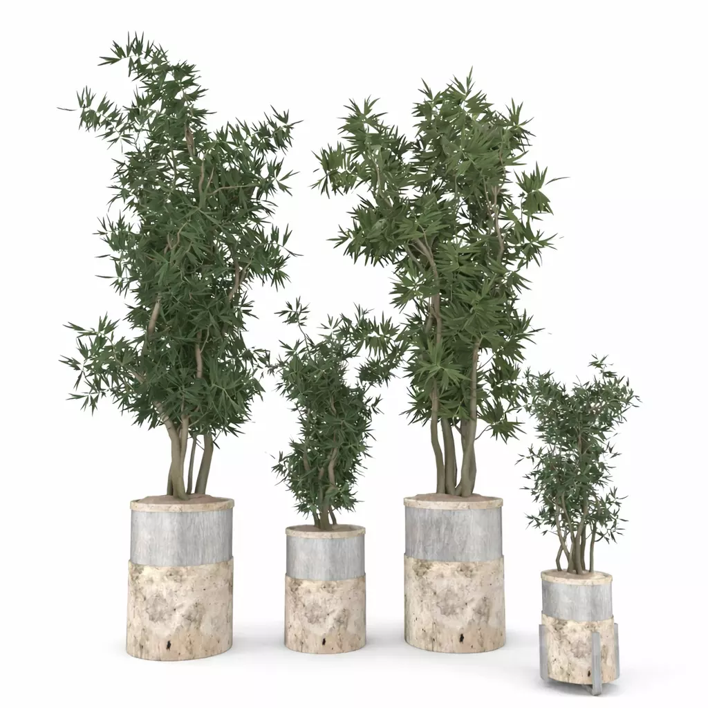 Decoration-Flower-21 3D model