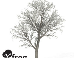 cherry tree 3dm blooming 3d models 3d blooming files cgtrader cherry tree 3dm blooming 3d models 3d blooming files cgtrader