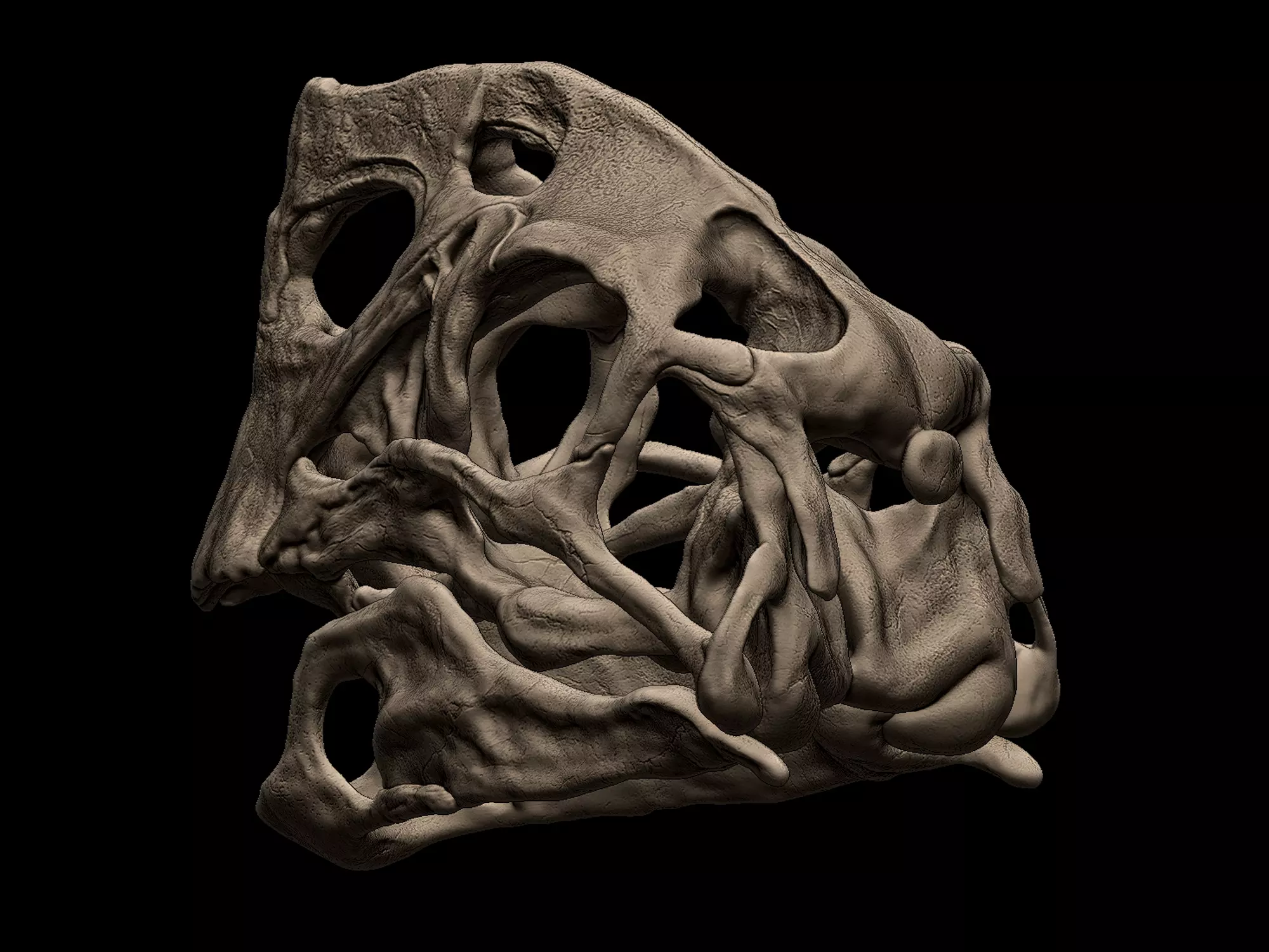 Oviraptor Citipati Skull 3D model 3D printable | CGTrader