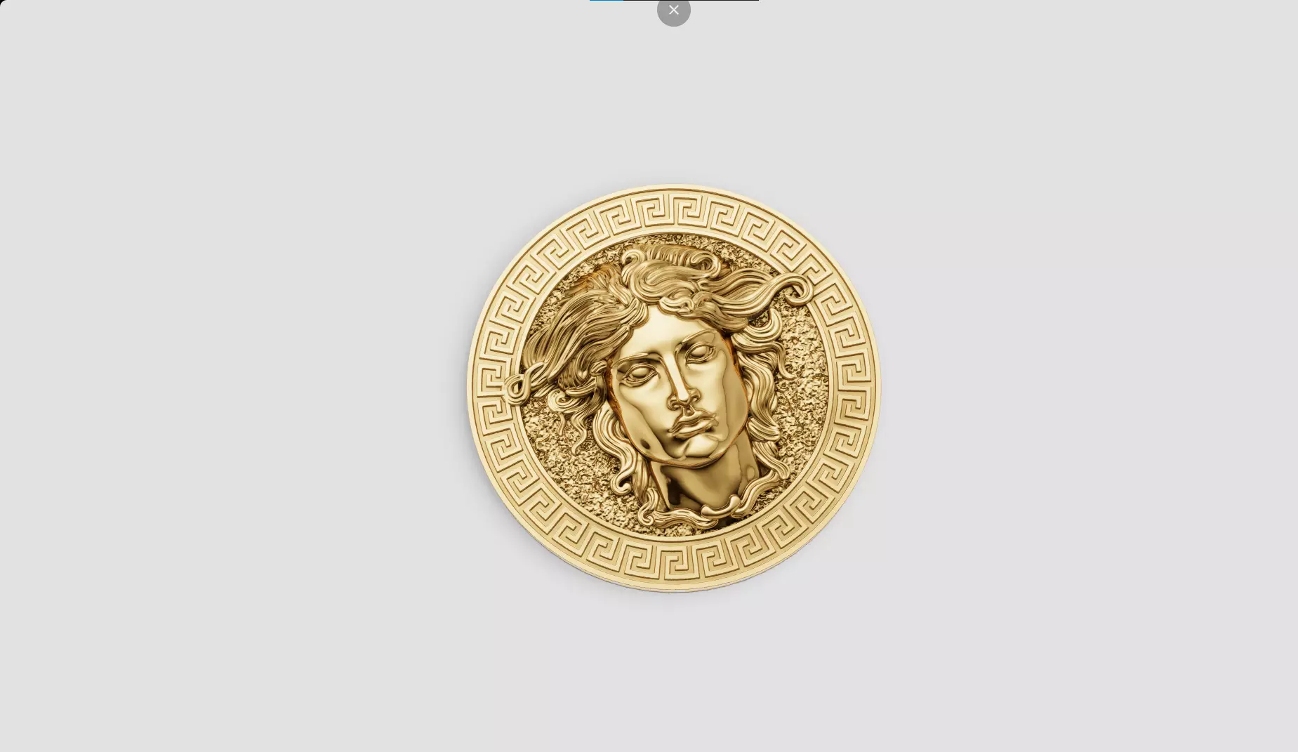 Medusa 3D print model