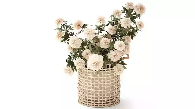 White Peony flower bushes wicker flower basket decor 3D model