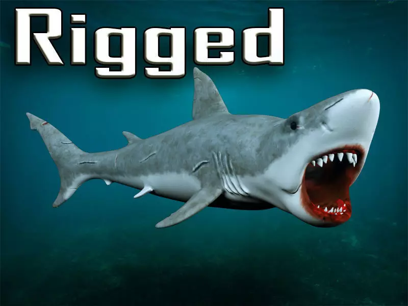 Great white shark  Low-poly 3D model_0