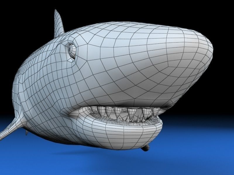 Great white shark  Low-poly 3D model_11