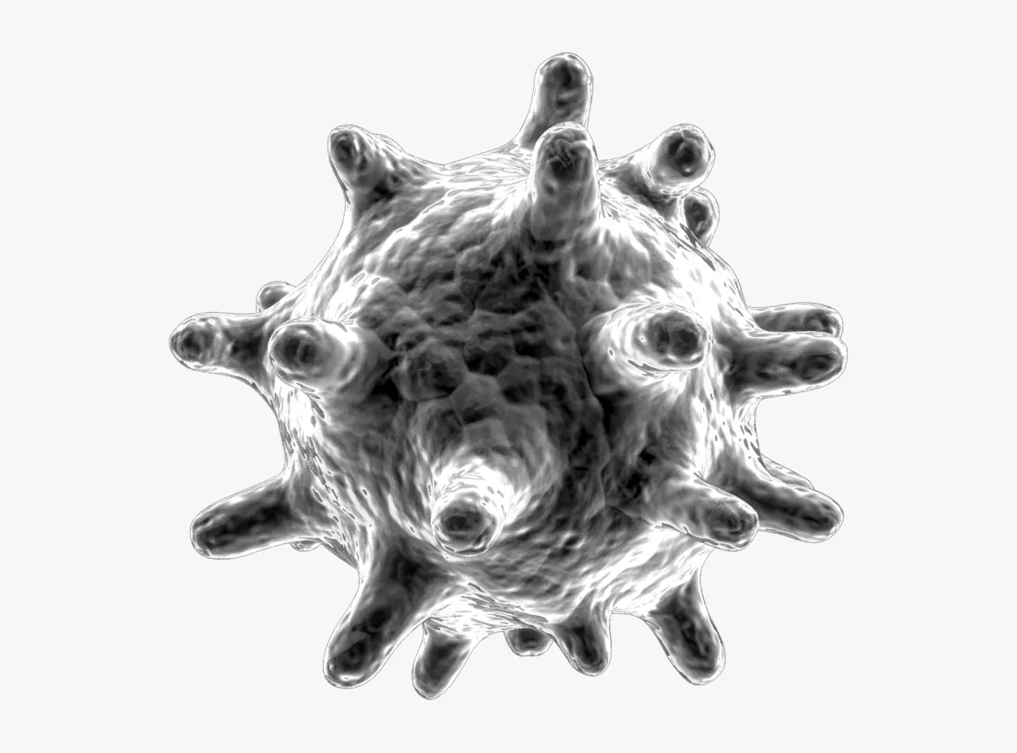 Common Cold Human Rhinovirus 3D model