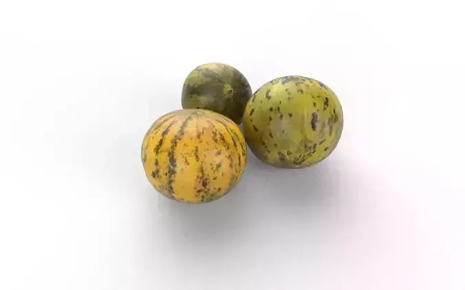 Melon Set 02-01 Low-poly 3D model 6