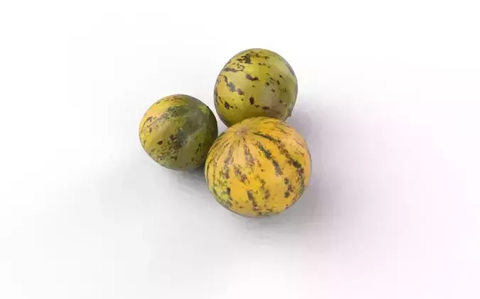 Melon Set 02-01 Low-poly 3D model 5