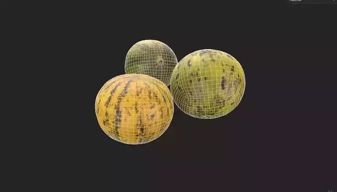 Melon Set 02-01 Low-poly 3D model 7