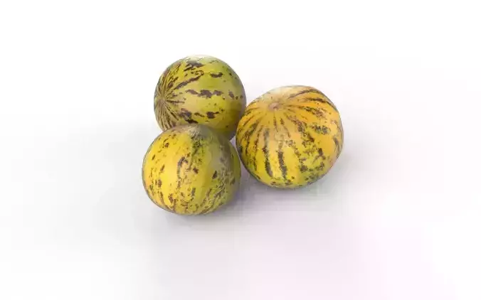 Melon Set 02-01 Low-poly 3D model 4