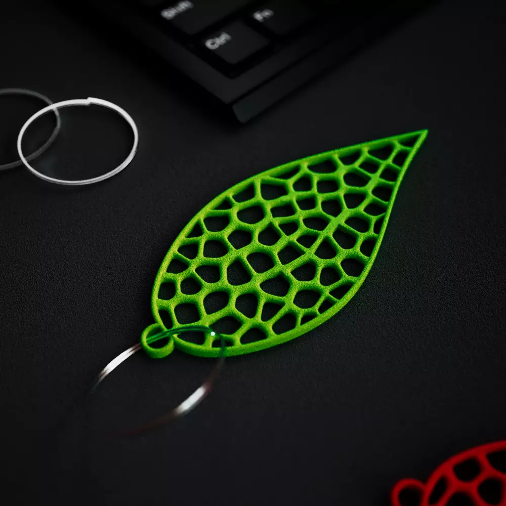 3D Printable Abstract Leaf Key Organizer - Keychain Free 3D print model